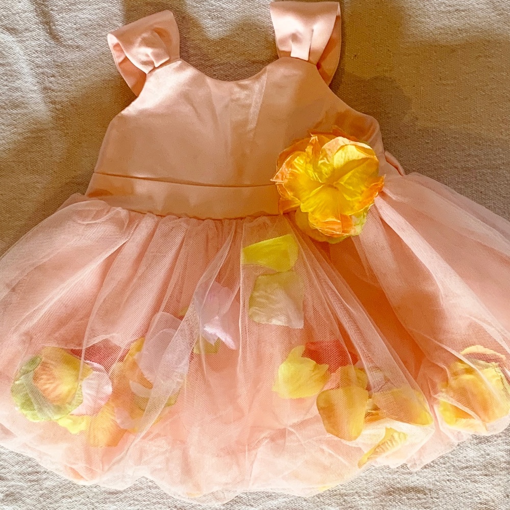 Infant Girl's Nanette Lepore Dress  3 - 6 M